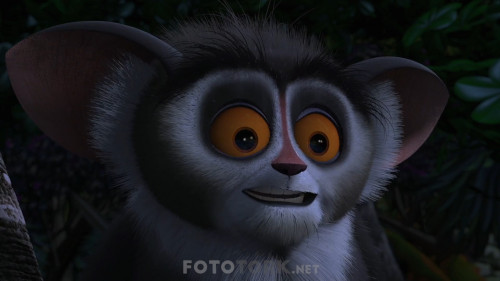 Madagaskar.2005.NF.1080P.DDP5.1.AC3.DUAL.TR-ENG.TORK.mkv_snapshot_00.56.22.787.jpg