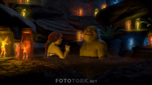 Shrek.2.2004.NF.1080p.WEB-DL.AC3.DUAL.TORK.mkv_snapshot_00.04.27.635.jpg