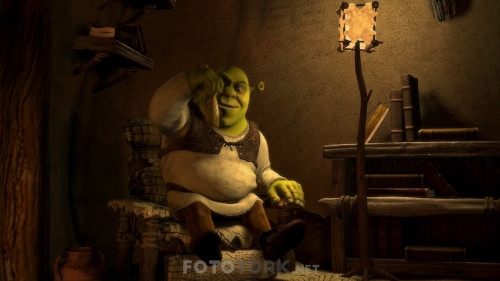 Shrek.2001.1080p.BluRay.H264.AC3.DUAL.TR-ENG.TORK.mkv_snapshot_00.03.12.402.jpg