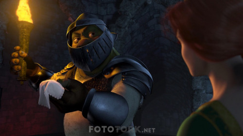 Shrek.2001.1080p.BluRay.H264.AC3.DUAL.TR-ENG.TORK.mkv_snapshot_00.36.53.381.jpg
