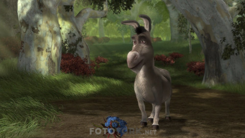 Shrek.2001.1080p.BluRay.H264.AC3.DUAL.TR-ENG.TORK.mkv_snapshot_00.55.03.972.jpg