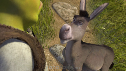Shrek.2001.1080p.BluRay.H264.AC3.DUAL.TR-ENG.TORK.mkv_snapshot_01.12.37.400.jpg