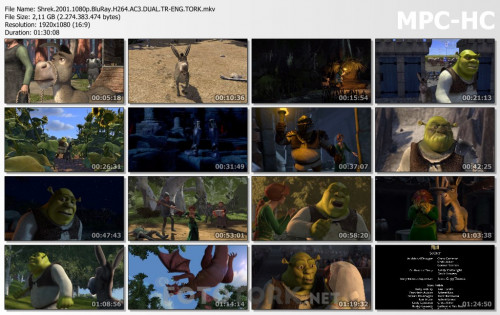 Shrek.2001.1080p.BluRay.H264.AC3.DUAL.TR-ENG.TORK.mkv_thumbs.jpg