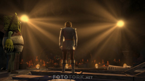 Shrek.3.2007.NF.1080p.WEB-DL.AC3.DUAL.TR-ENG.TORK.mkv_snapshot_00.02.26.380.jpg