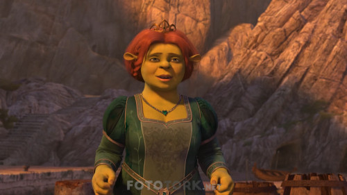 Shrek.3.2007.NF.1080p.WEB-DL.AC3.DUAL.TR-ENG.TORK.mkv_snapshot_00.19.44.684.jpg