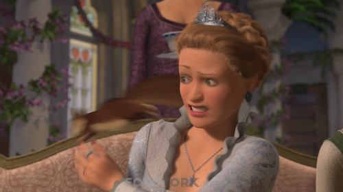 Shrek.3.2007.NF.1080p.WEB-DL.AC3.DUAL.TR-ENG.TORK.mkv_snapshot_00.32.36.746.jpg