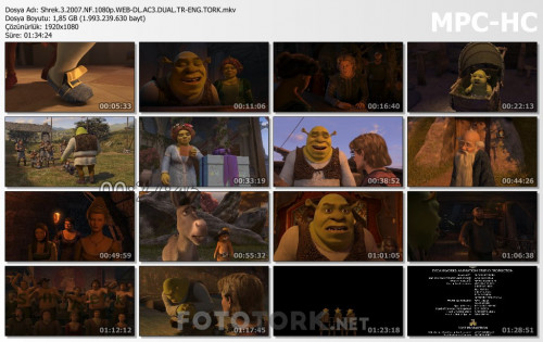 Shrek.3.2007.NF.1080p.WEB-DL.AC3.DUAL.TR-ENG.TORK.mkv_thumbs.jpg