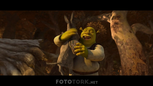 Shrek.4.Sonsuza.Dek.Mutlu.2010.NF.1080p.WEB-DL.AC3.DUAL.TR-ENG.TORK.mkv_snapshot_00.37.25.527.jpg