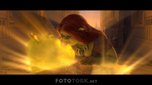Shrek.4.Sonsuza.Dek.Mutlu.2010.NF.1080p.WEB-DL.AC3.DUAL.TR-ENG.TORK.mkv_snapshot_01.18.48.891.jpg