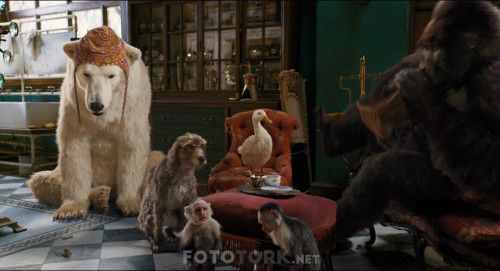 Dolittle.2020.BluRay.1080p.x264.AC3.DUAL.TR-ENG.TORK.mkv_snapshot_00.17.39.976.jpg