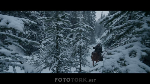Dirilis.The.Revenant.2015.NF.1080p.WEB-DL.DD5.1.DUAL.TR-ENG.TORK.mkv_snapshot_02.08.49.931.jpg
