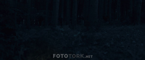The.Witch.Part.1-The.Subversion.2018.1080p.BluRay.x264.TR.ALTYAZI.TORK.mkv_snapshot_00.03.03.019.jpg