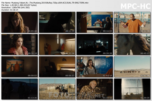 Mustang.Yabani.At.-.The.Mustang.2019.BluRay.720p.x264.AC3.DUAL.TR-ENG.TORK.mkv_thumbs.jpg