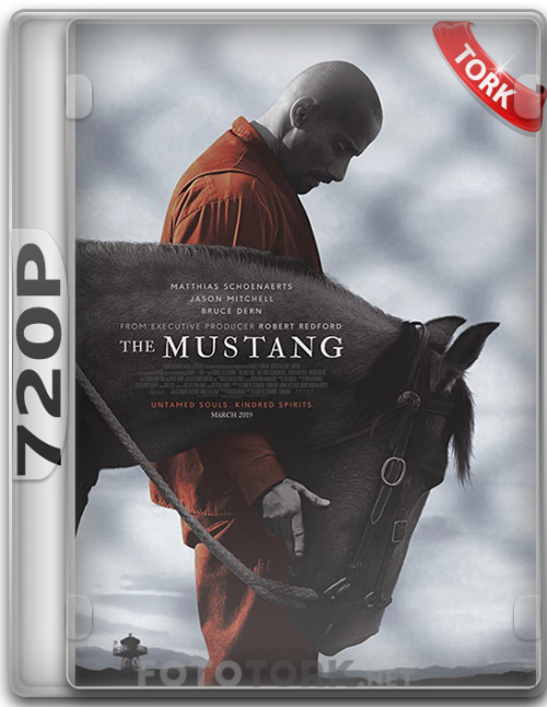 Mustang720p.png