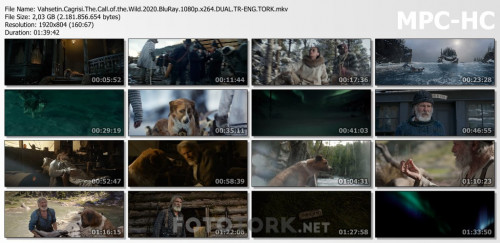 Vahsetin.Cagrisi.The.Call.of.the.Wild.2020.BluRay.1080p.x264.DUAL.TR-ENG.TORK.mkv_thumbs.jpg