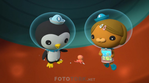 Octonautlar.ve.Sac.Actun.Magaralari.Octonauts.the.Caves.of.Sac.Actun.2020.NF.1080p.WEB-DL.EAC3.DD5.1.DUAL.TR-ENG.ARA.TORK.mkv_snapshot_00.01.48.969.jpg