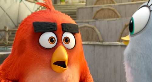 The.Angry.Birds.Movie.2019.1080p.BluRay.DUAL.DTS-HD.MAAC3.x264.TORK.mkv_snapshot_00.23.36.957.jpg