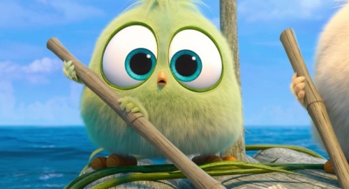 The.Angry.Birds.Movie.2019.TR.BDRip.x264.AC3.TORK.mkv_snapshot_00.24.41.355.jpg