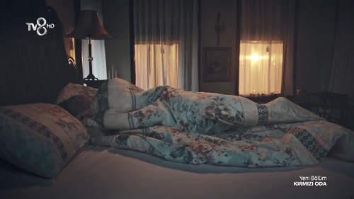 Kirmizi.Oda.BL.15.HDTvRip.720p.AC3.by.cideli37.TORK.mkv_snapshot_01.47.30.399.jpg
