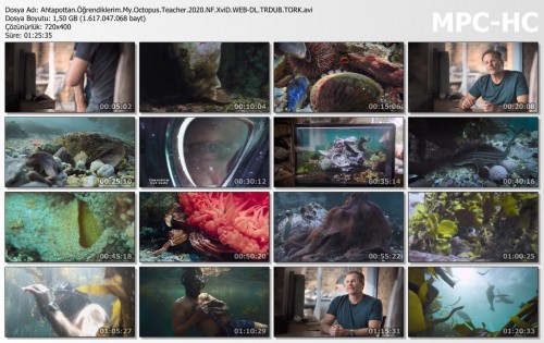Ahtapottan.Ogrendiklerim.My.Octopus.Teacher.2020.NF.XviD.WEB-DL.TRDUB.TORK.avi_thumbs.jpg