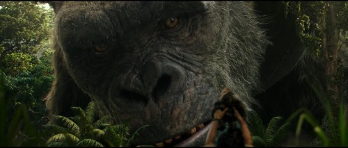 Godzilla.vs.kong.2021.1080p.WEBRip.E.AC3.EN.ALTYAZI.TORK.mkv_snapshot_00.02.27.454.jpg