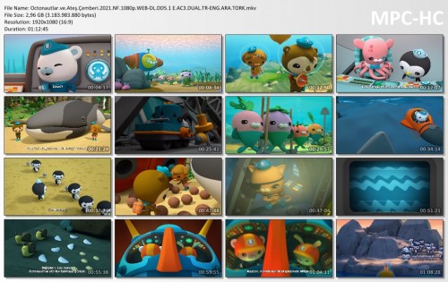 Octonautlar.ve.Ates.Cemberi.2021.NF.1080p.WEB-DL.DD5.1-E.AC3.DUAL.TR-ENG.ARA.TORK.mkv_thumbs.jpg