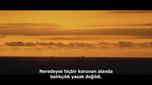 Seaspiracy.Denizlerdeki.Komplo.2021.NF.1080p.WEB-DL.DD5.1-E.AC3.DUAL.TR-ENG.TORK.mkv_snapshot_00.44.19.046.jpg