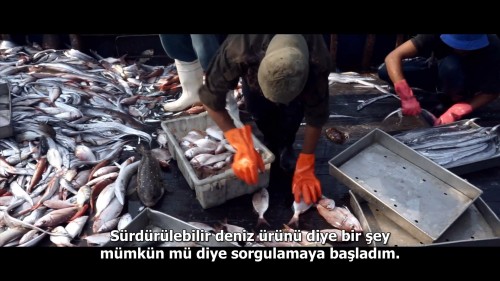 Seaspiracy.Denizlerdeki.Komplo.2021.NF.1080p.WEB-DL.DD5.1-E.AC3.DUAL.TR-ENG.TORK.mkv_snapshot_00.44.27.879.jpg