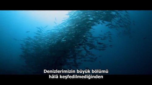 Seaspiracy.Denizlerdeki.Komplo.2021.NF.720p.WEB-DL.DD5.1-E.AC3.DUAL.TR-ENG.TORK.mkv_snapshot_00.02.35.998.jpg