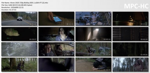 Alone-2020.720p.BluRay.DD5.1.x264-iFT-2.mkv_thumbs.jpg