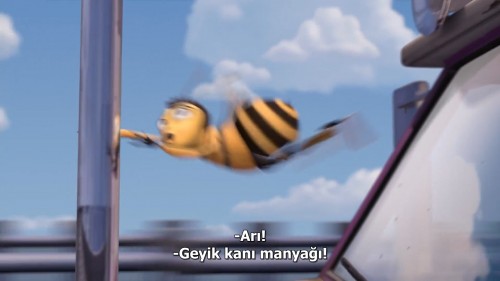 Ari.Filmi.Bee-Movie.2021.NF.1080p.WEB-DL.DD5.1-E.AC3.DUAL.TR-ENG.TORK.mkv_snapshot_00.36.55.881.jpg