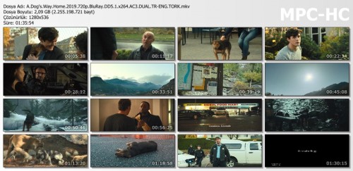 A.Dogs.Way.Home.2019.720p.BluRay.DD5.1.x264.AC3.DUAL.TR-ENG.TORK.mkv_thumbs.jpg