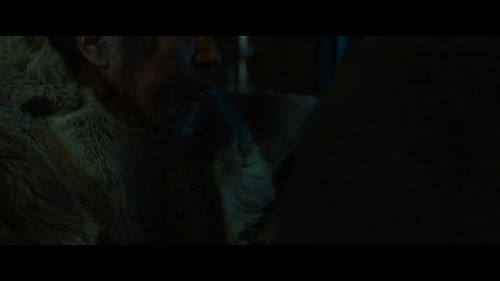 Sibirya.Siberia.2019.WebRip.1080p.x264.AC3.DUAL.TR-ENG.TORK.mkv_snapshot_00.06.36.837.jpg