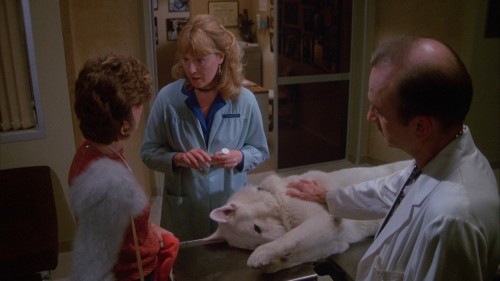 White.Dog.1982.1080p.BluRay.DUAL.AC3.x264.TORK.mkv_snapshot_00.04.58.965.jpg