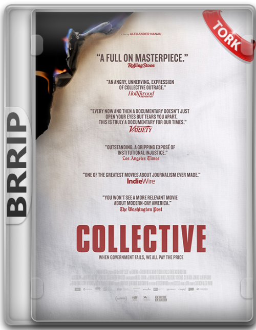 collective-xvid.png