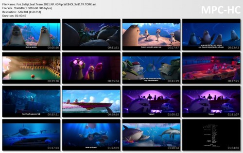 Fok.Birligi.Seal.Team.2021.NF.HDRip.WEB-DL.XviD.TR.TORK.avi_thumbs.jpg