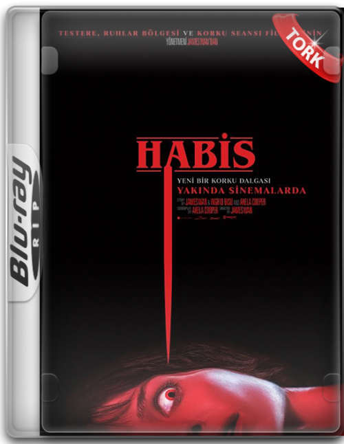 Habis-Malignant-2021-BluRay-1080p-x264-AC3-DUAL-TR-ENG-TORK.png