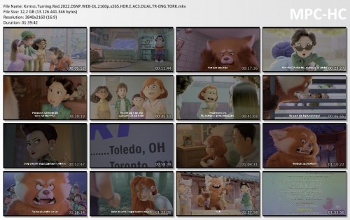 Kirmizi.Turning.Red.2022.DSNP.WEB-DL.2160p.x265.HDR.E.AC3.DUAL.TR-ENG.TORK.mkv_thumbs.jpg