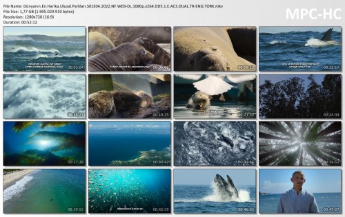Dunyanin.En.Harika.Ulusal.Parklari.S01E04.2022.NF.WEB-DL.1080p.x264.DD5.1.E.AC3.DUAL.TR-ENG.TORK.mkv_thumbs.jpg