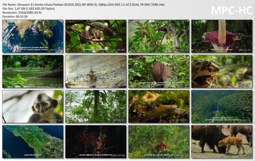 Dunyanin.En.Harika.Ulusal.Parklari.S01E05.2022.NF.WEB-DL.1080p.x264.DD5.1.E.AC3.DUAL.TR-ENG.TORK.mkv_thumbs.jpg