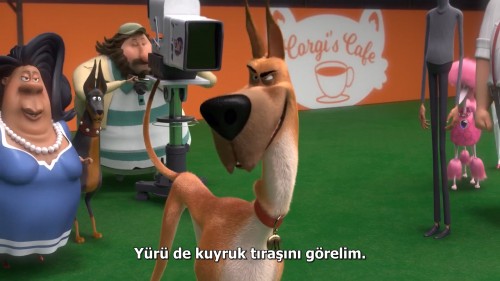 Marmaduke.2022.NF.1080p.WEB-DL.x264.AC3.DUAL.TR-ENG.TORK.mkv_snapshot_01.20.33.006.jpg