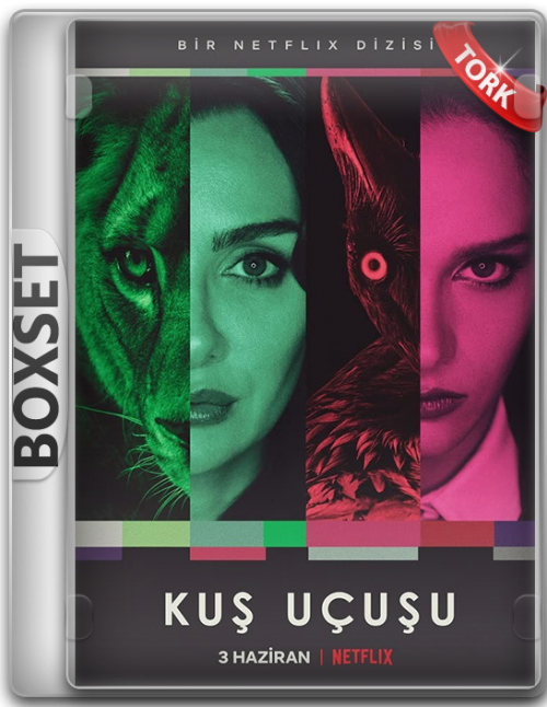 kusucusu.png