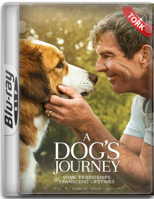 Dostumun.Yolculugu.A.Dogs.Journey.2019.BluRay.1080p.x264.AC3.DUAL.TR-ENG.TORK.png