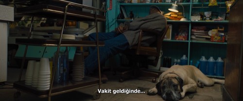 Dostumun.Yolculugu.A.Dogs.Journey.2019.BluRay.1080p.x264.AC3.DUAL.TR-ENG.TORK.mkv_snapshot_00.57.12.890.jpg