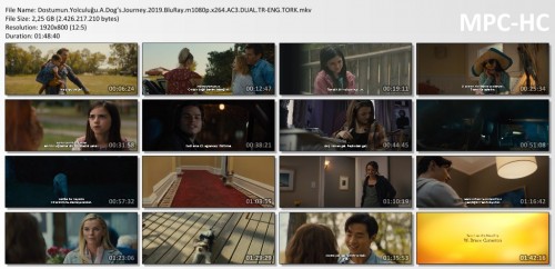 Dostumun.Yolculugu.A.Dogs.Journey.2019.BluRay.m1080p.x264.AC3.DUAL.TR-ENG.TORK.mkv_thumbs.jpg