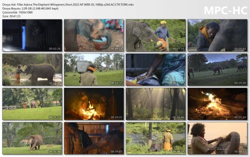 Filler.Askina.The.Elephant.Whisperers.Short.2022.NF.WEB-DL.1080p.x264.AC3.TR.TORK.mkv_thumbs.jpg