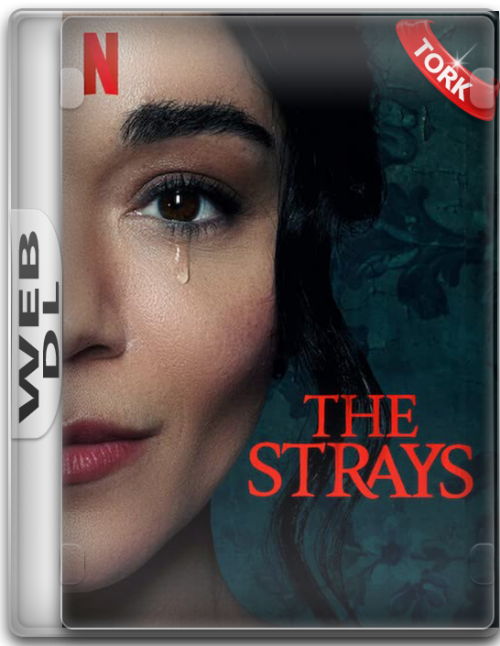 Basibos-The-Strays-2022-NF-WEB-DL-1080p-x264-AC3-DUAL-TR-ENG-TORK.png