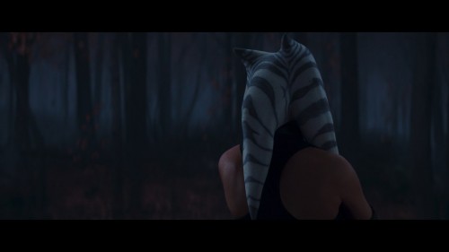 Ahsoka.S01.BL04.DSNP.WEB-DL.720p.H264.DD5.1.E.AC3.DUAL.TR-ENG.TORK.mkv_snapshot_02.50.203.jpg