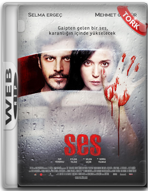 Ses-2010-WEBRip.png