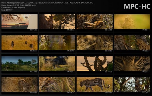 Leoparlarla.Yasam.Living.with.Leopards.2024.NF.WEB-DL.1080p.H264.DD5.1.AC3.DUAL.TR-ENG.TORK.mkv_thumbs.jpg